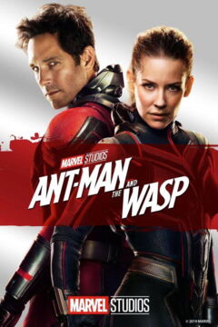 21. Platz: Ant-Man and the Wasp (2018)