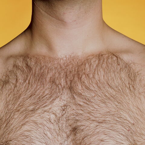 3. Die Behaarung am Körper
