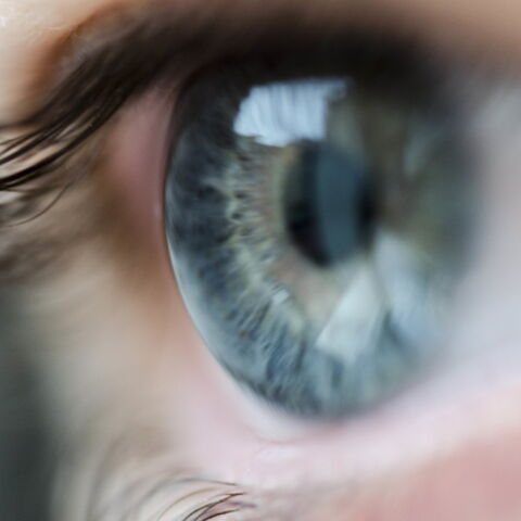 8. Die Semilunarklappen im Auge