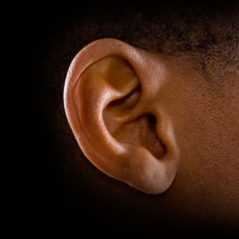 9. Der Darwin-Ohrhöcker an der Spitze des Ohrs