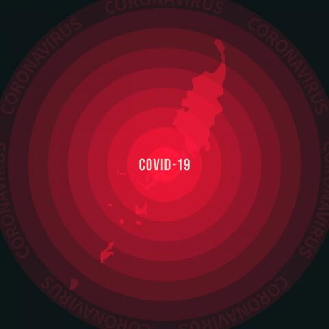 Covid-19-Bezwinger: Palau