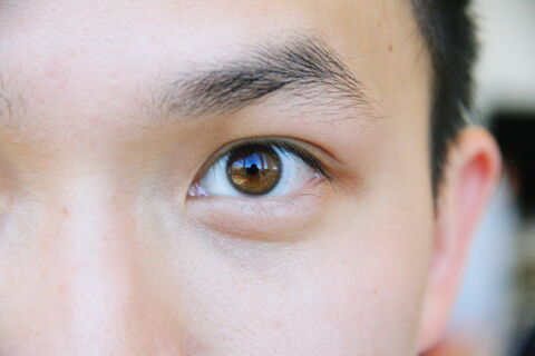 Das dritte Augenlid ist ein Überbleibsel der Nickhaut der Vögel und Reptilien