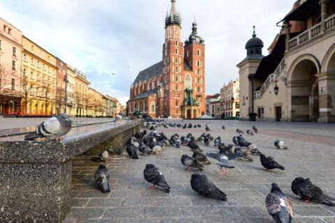 Der Marktplatz in Krakaus Altstadt (Polen)