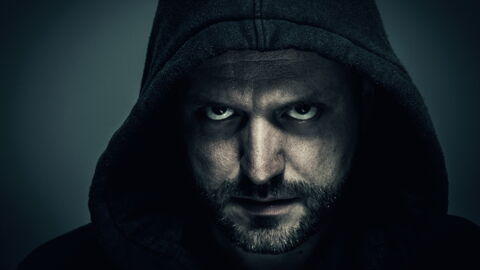 Nr. 2: Der Mensch ist das tödlichste Säugetier der Welt.