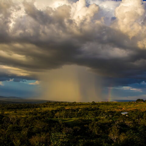 Nuklearkrieg: Vernichtet sich die Menschheit selbst?