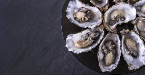 Nummer 1 – Der Klassiker: Die Auster