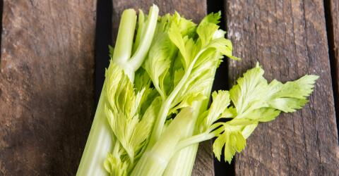 Nummer 5 – Der Staudensellerie