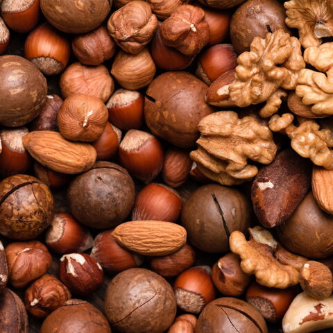 Nüsse: Ihre Fettsäuren favorisieren das Wachstum der Muskelzellen