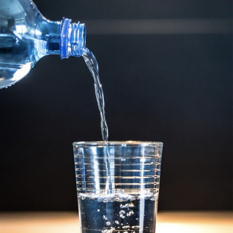 Wasser ist und bleibt das wichtigste Nahrungsmittel