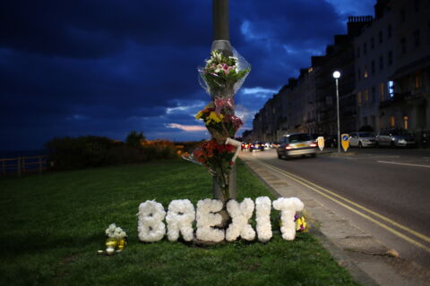 Wörter des Jahres 2019, Platz 6: brexitmüde