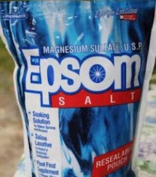 Gib beim Setzen einen Esslöffel Epsom-Salz in das Pflanzloch... Es gibt den Setzlingen und Tomatenpflanzen Kraft!