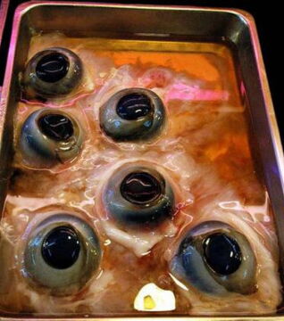 Japan – Die Augäpfel des Thunfischs.