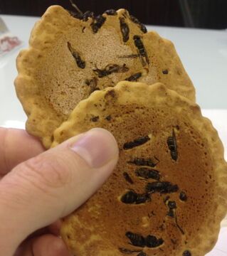 Japan – Kekse mit eingebackenen Wespen