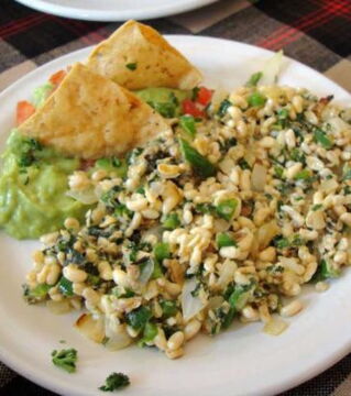 Mexiko – Hier isst man Escamol, leckere Speiseinsekten…