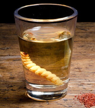 Mexiko – Tequila mit Würmern