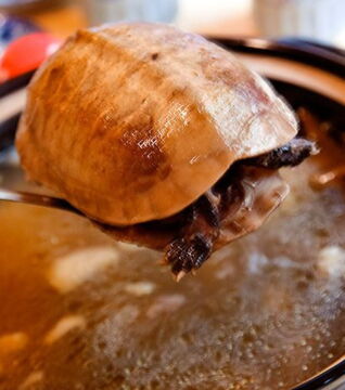 Südostasien – Die Schildkrötensuppe