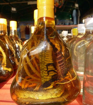 Südostasien – Schlangenwein
