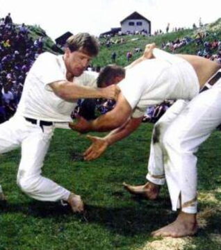 2. Brancaille ist eine französische Disziplin, in der alles erlaubt ist, egal ob Ellenbogen, Knie, Kopf oder Würgen. Sie wurde nach dem 2. Weltkrieg verboten, wird aber illegal immer noch praktiziert.