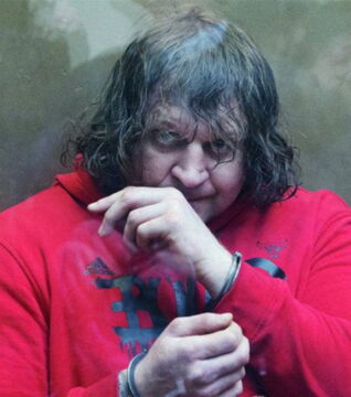 7. Alexander Emelianenko: Der Bruder von Fedor sitzt zur Zeit für 5 Jahre im Gefängnis, wegen einer Vergewaltigung.