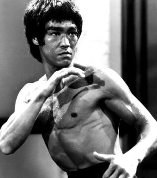Als Jeet Kune Do Begründer und investierter Befürworter der allgemeine Demokratisation der Kampfkünste war Bruce Lee besonders einflussreich