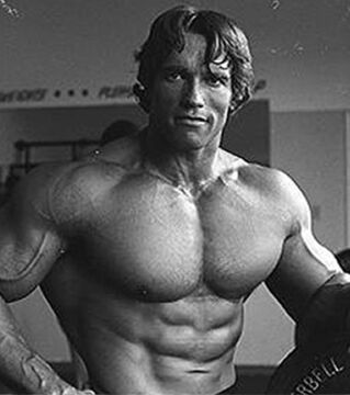 Arnold Schwarzenegger: Nachdem ich mit den Wettkämpfen aufgehört habe, trainierte ich schneller. 6 Serien ohne Pause und mit mehr Wiederholungen.