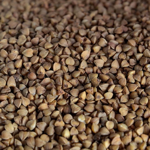 Buchweizen enthält pro 100 g 9 g Eiweiß und eignet sich hervorragend für Glutenallergiker. Foto: Pixabay