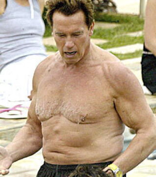 Heute hat er ein wenig zugenommen... Sicherlich wegen der verrückten Hollywood-Nächte und seiner vielen Arbeit als Gouverneur