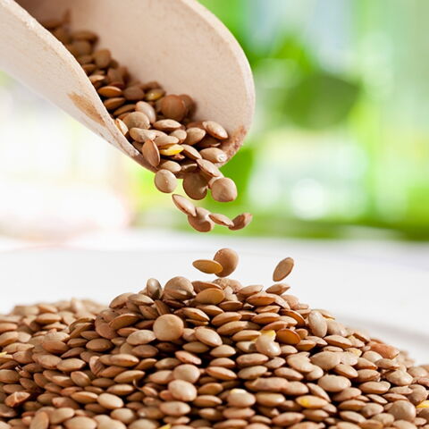 Linsen eignen sich gut für Salate oder auch Eintöpfe. Foto: Getty Images