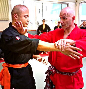 Penchak Silat in Indonesien: Traditionelle Kampfkunst. Diente im Kampf gegen die Japaner und Niederländer. Vielleicht sogar effektiver als Krav Maga.
