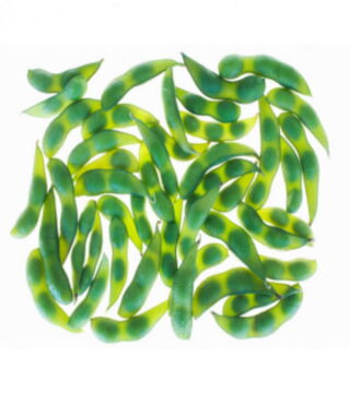 2: Nur 60% sind genauso effizient wie Molke in den Tests zur Proteinsynthese. Sojaproteine können den Tageshaushalt an Eiweiß enorm stärken: 88g Proteine auf 100g.