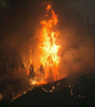 Ein Waldbrand im Boise National Forest, in den USA.