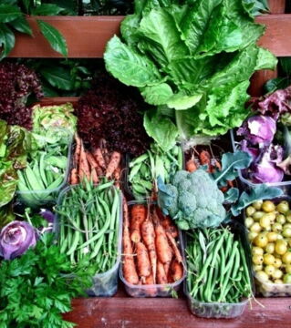 Gemüse und Kräuter: Selbst wenn du nur einen kleinen Balkon hast (oder sogar gar keinen), kannst du dein eigenes Gemüse oder eigene Kräuter anbauen. Das spart ordentlich Geld und macht auch noch Freude. Geldersparnis pro Monat: 40 Euro