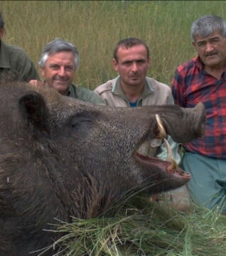 Das größte Wildschwein der Welt konnte diesen portugiesischen Jägern nicht entkommen
