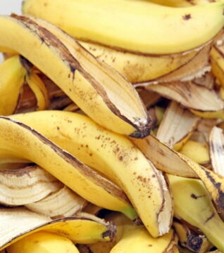Bananenschalen sind reich an Kalium und besonders als Dünger für Rosen geeignet
