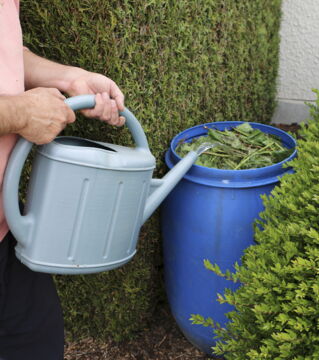 Brennnesseln sind reich an Stickstoff und wehren Eindringlinge ab!