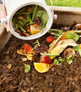 Der Kompost ist der beste Dünger der Welt! Deinen Gemüseschalen schenkst du so ein zweites Leben.