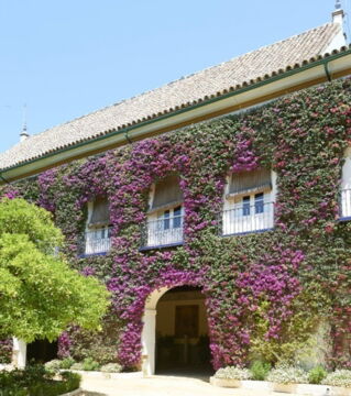 Garten: Dichte Pflanzen wirken wie eine Schutzwand gegen die Sonne