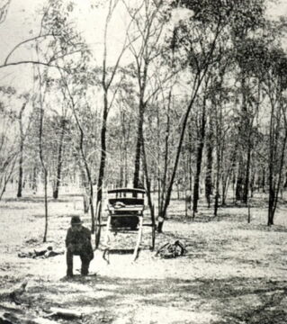 In diesem Wald wurde mehrere Menschen gleichzeitig auf verschiedene Art umgebracht. Nie konnte man den oder die Schuldigen finden.