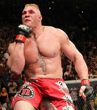 7. UFC 116, mit Brock Lesnar vs. Shane Carwin, Chris Leben vs. Yoshihiro Akiyama, Stephan Bonnar vs. Krzysztof Soszynski und Ricardo Romero vs. Seth Petruzelli