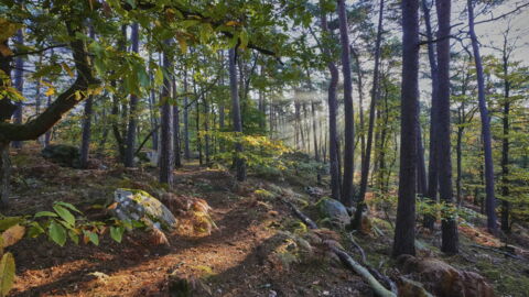 9. Übung der Polizei