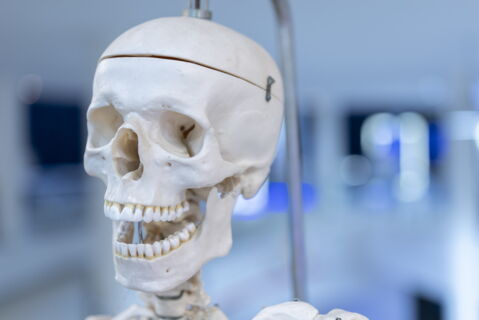 1 Monat nach dem Tod