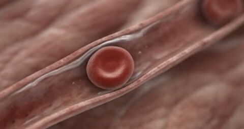 Unmittelbar nach dem Tod