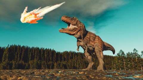 Vor über 225 Millionen Jahren