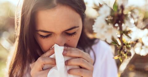 Gründe für einen kratzenden Hals: Allergien