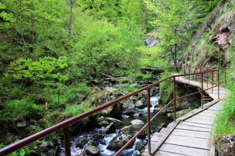 Ravennaschlucht, Deutschland