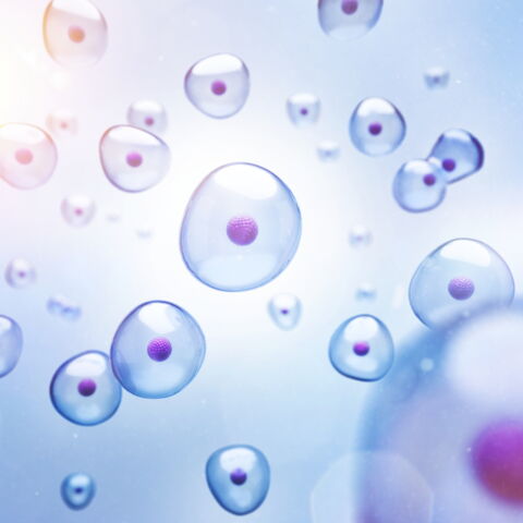 4 - 5 Minuten nach dem Tod