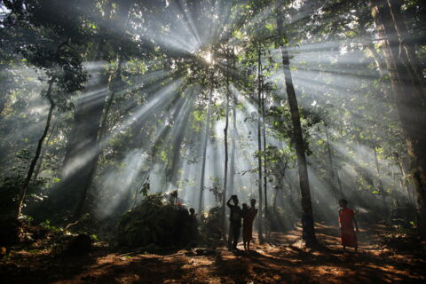 Zentralafrikanische Republik