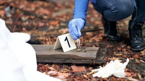 10. Émiles Knochen werden gefunden