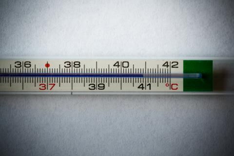 Das passiert, wenn wir sterben – nach 1 Stunde