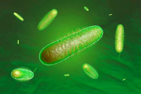 Das passiert, wenn wir sterben – nach 36 Stunden